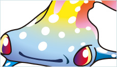 美ら海水族館マスコットキャラクター